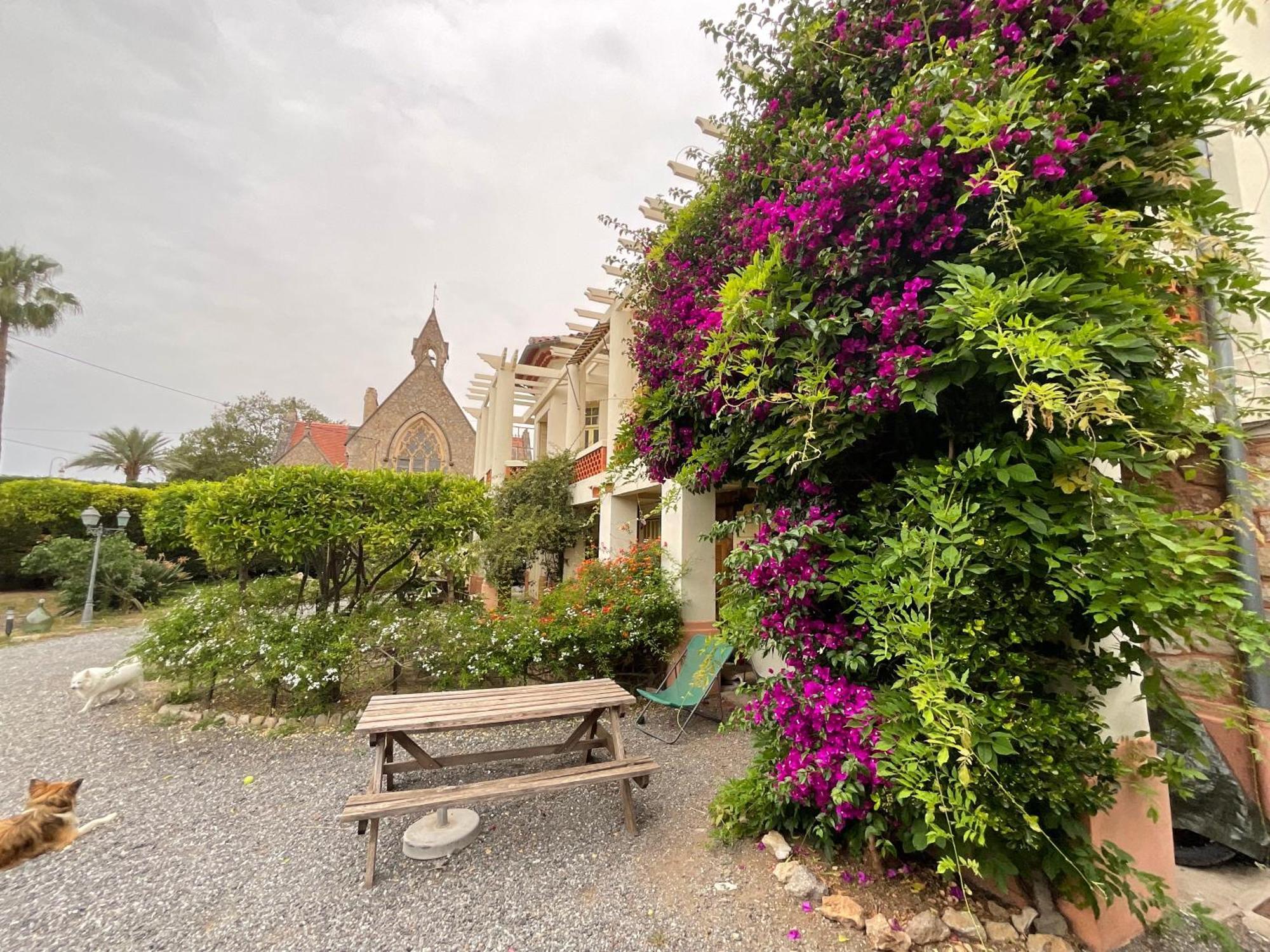 Villa La Provence Hyères Exterior foto
