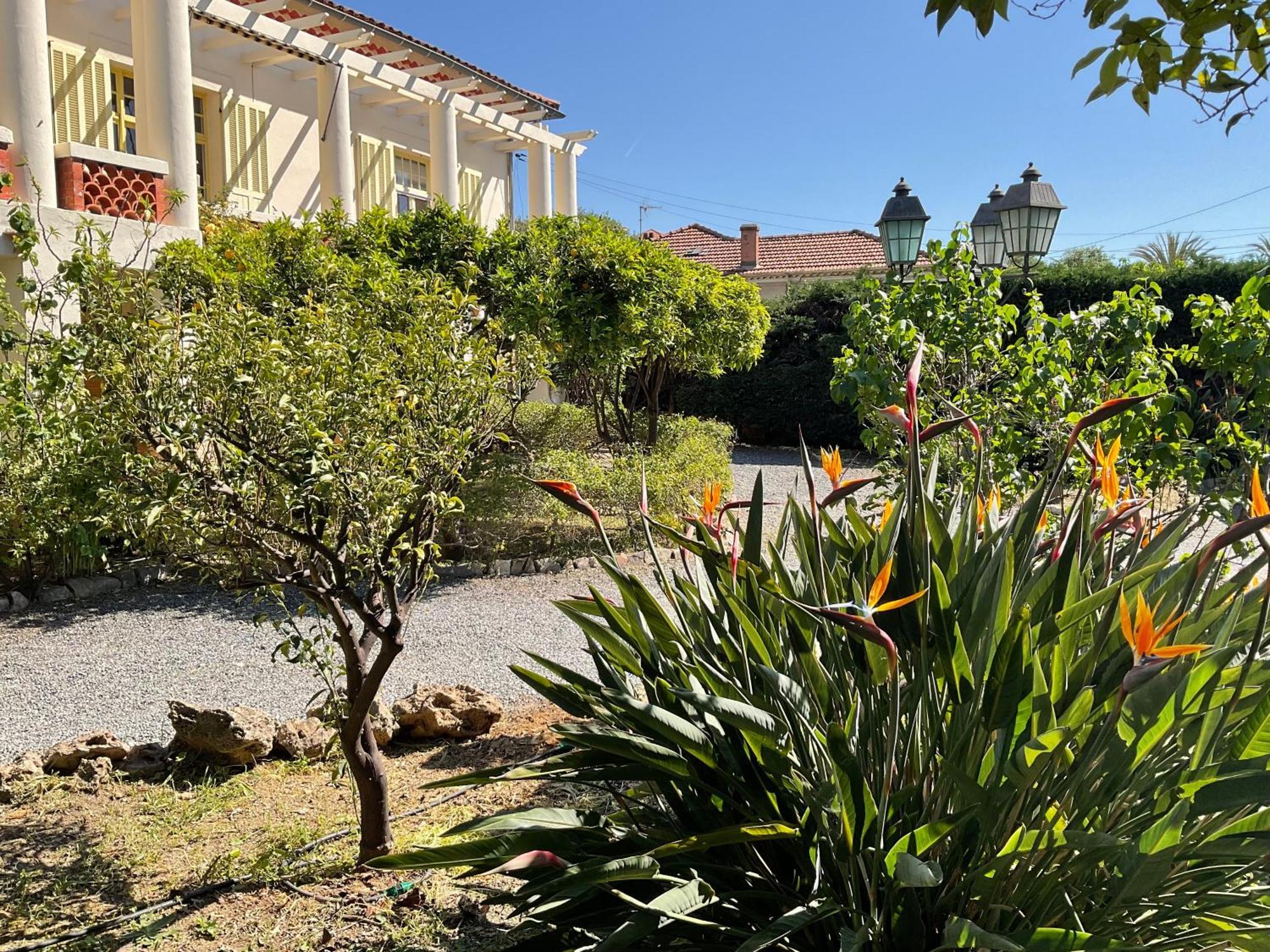 Villa La Provence Hyères Exterior foto