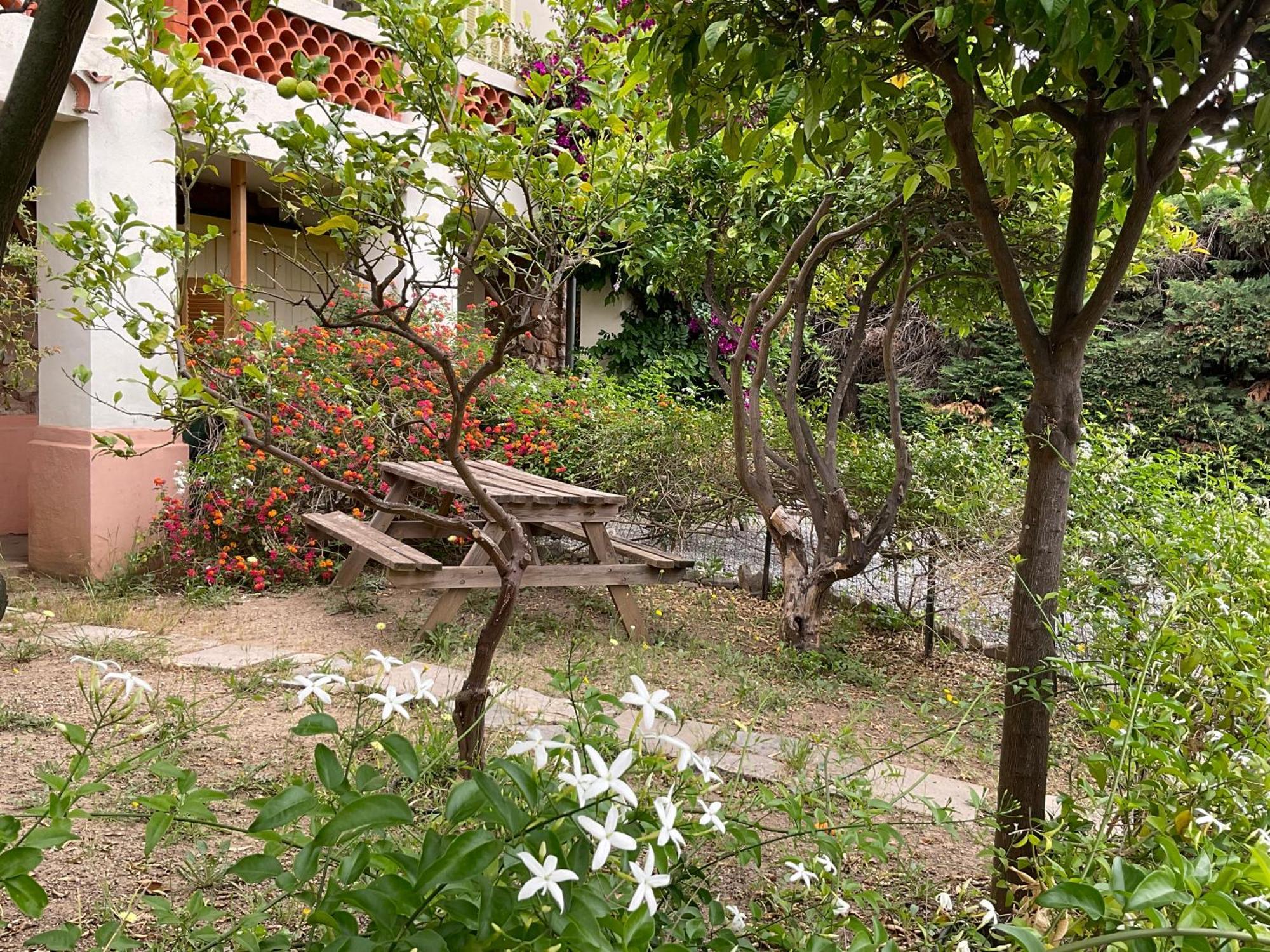 Villa La Provence Hyères Exterior foto