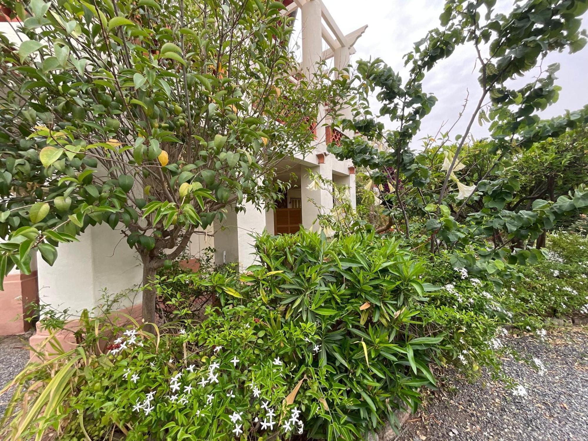 Villa La Provence Hyères Exterior foto